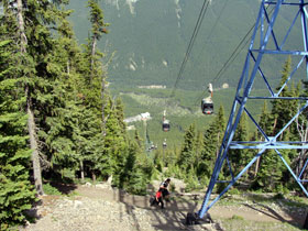 �T���t�@�[�R1