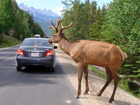 ��������1