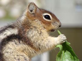 ��������2