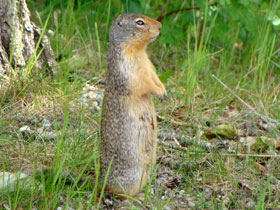 ��������3