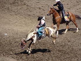 �X�^���s�[�h5