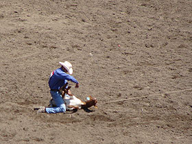 �X�^���s�[�h6