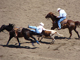 �X�^���s�[�h7