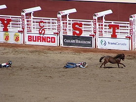 �X�^���s�[�h8