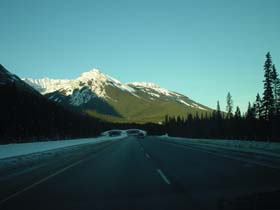 �n�C�E�F�C