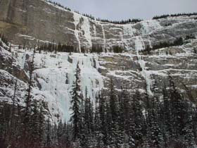 �����苃����