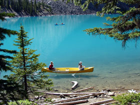 �����C�����C�N2