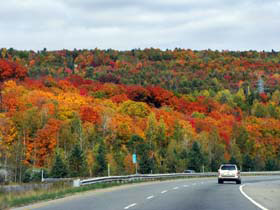 ���[�����V�����ւ̓�01