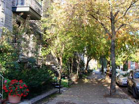 �v���g�[���������C����01