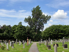 �t�F�A�r���[��n1