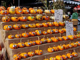 �o�C���[�h�}�[�P�b�g02