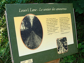 �O���[���Q�[�u���Y6