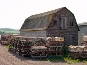 ���u�X�^�[����