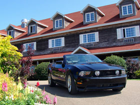 �z�e���Ǝ�