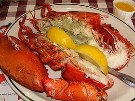 ���u�X�^�[2