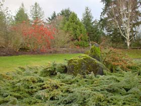 �o���f���[�Z��3