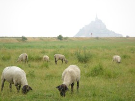 �����T���~�V�F�����i1