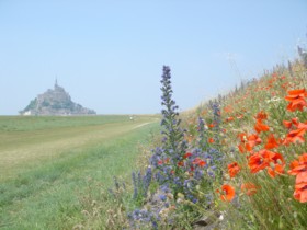 �����T���~�V�F�����i2