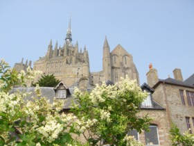 �����T���~�V�F���C���@