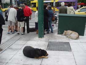 �A�e�l�̌�2