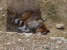 �A�e�l�̌�1