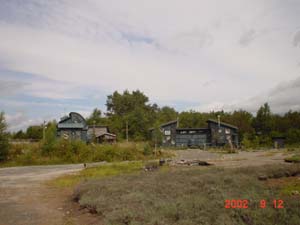 ���T�C�N���̉�