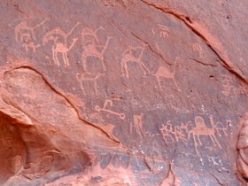 ���f�B����04