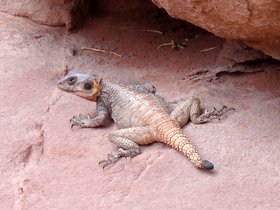 ���f�B����05