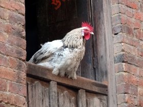 �o�N�^�v��5