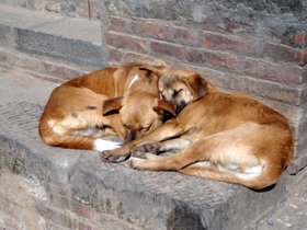 �o�N�^�v��7