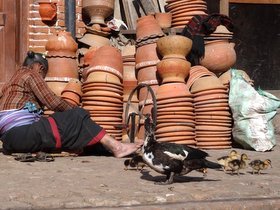 �o�N�^�v��8