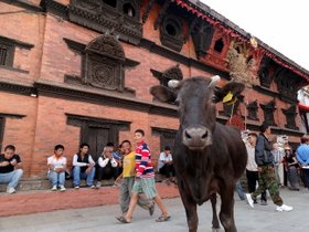 �J�g�}���h�D2