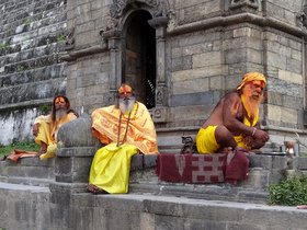 �p�V���p�e�B�i�[�g2