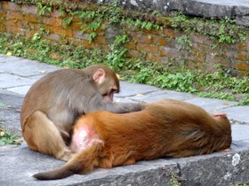 �p�V���p�e�B�i�[�g3