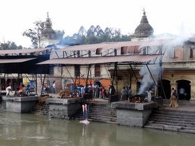 �p�V���p�e�B�i�[�g5