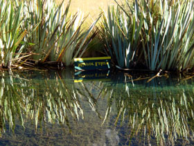 �~���[���C�N2