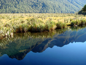 �~���[���C�N3