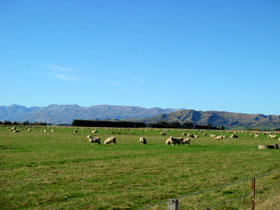 �~���t�H�[�h��2