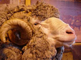 �A�O���h�[��02