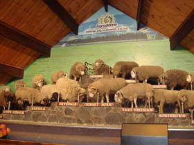 �A�O���h�[��03