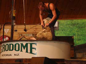 �A�O���h�[��04