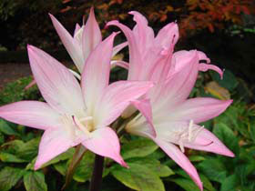 �G�C�{����03