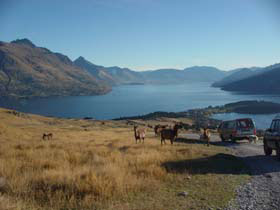 �f�B�A�p�[�N01