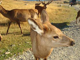 �f�B�A�p�[�N02