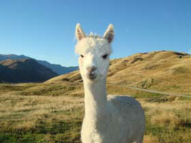 �f�B�A�p�[�N03