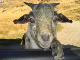 �f�B�A�p�[�N04