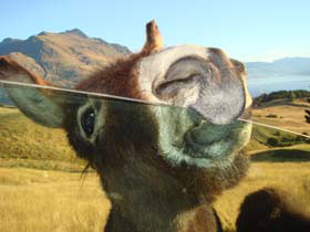 �f�B�A�p�[�N05