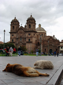 �A���}�X�L��3