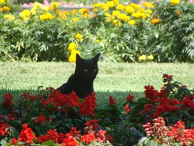 ���}�V�s�X3