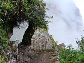 �C���J�̋�1